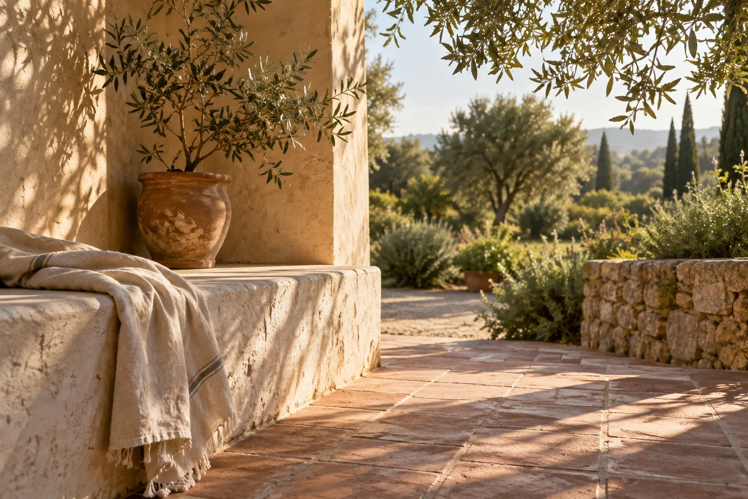 Morning light across a limestone bench and terracotta patio, framed by green olive branches.